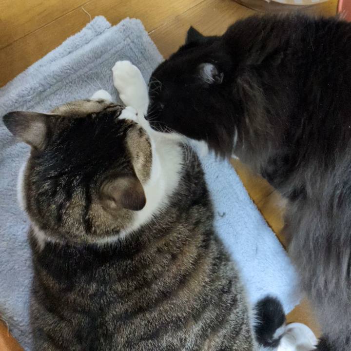 D17990b9 7138 4763 8fad 16a7e1c9aaa2 1701207609176