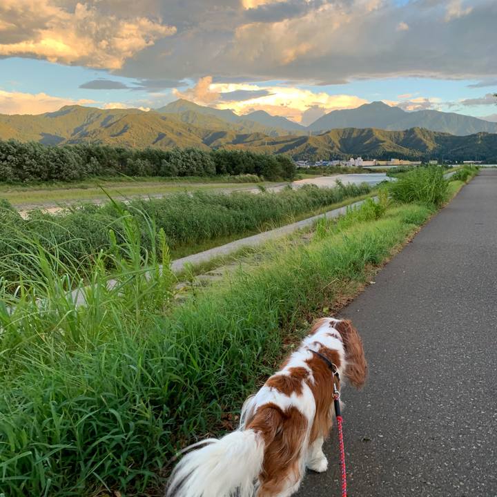 D17997bd a3af 4446 957c 0893b2bed215 1599387624742