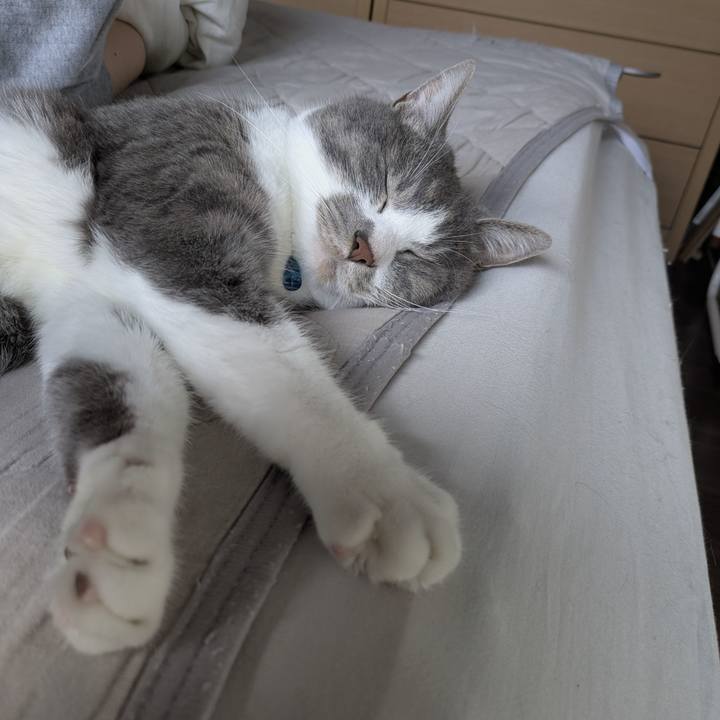 D179c522 66c2 4c5a a218 a64b23642324 1750390581636