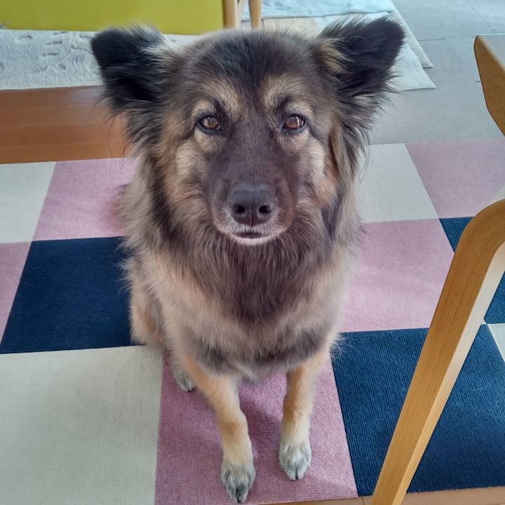 D179cc93 954d 485e 8577 daf98bd77af1 1769909279142