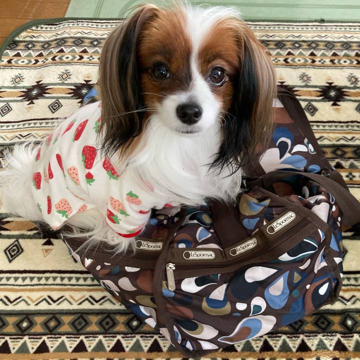 D179cfc1 6a09 4fd6 9976 7fbc80dbbe63 1635329081339