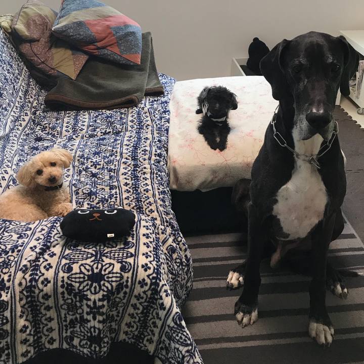 D179eeef a217 4e10 b7f8 13be7743a492 1524523600210