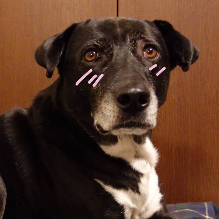 D17a0dce 6ebc 4485 9cb6 6a2f8bb053cb 1730891353363