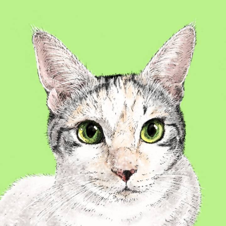 D17a1311 4453 41f8 b568 65838c58491c 1693656147678