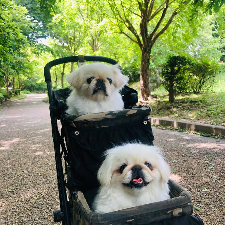 D17a2c4c 5b6c 4599 9ecc 4afcb57eab62 1622004016215