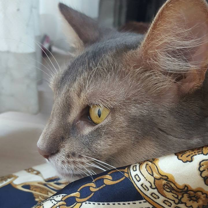 D17a37d6 3937 4712 ab16 ab10acec6abd 1565420189353