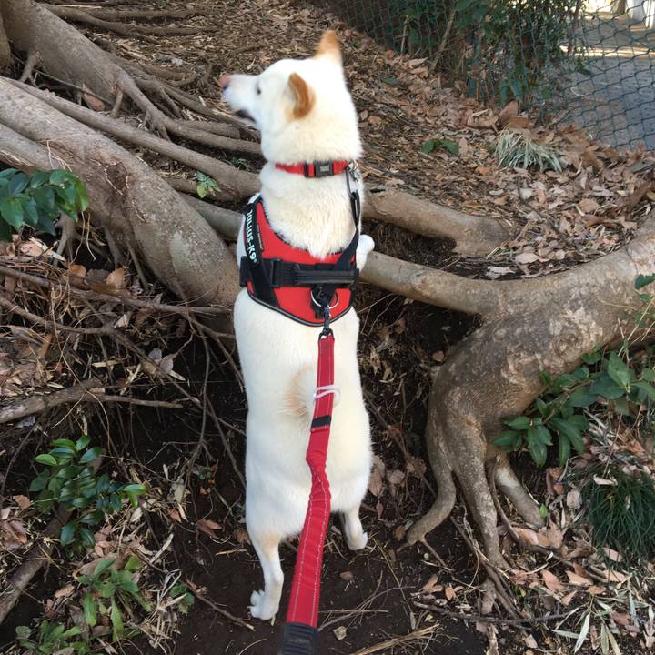 D17a41ae 4c9d 40dd 8829 f63b17093a21 1552449406528