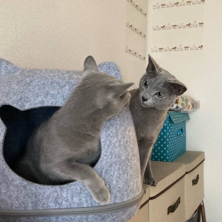 D17ae495 f22c 4f24 acc0 5cde24e22f4b 1660777242171