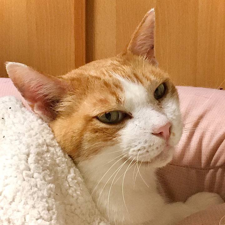 D17b077c 2b23 470a a7ba ffa3a09bafe8 1629326805777