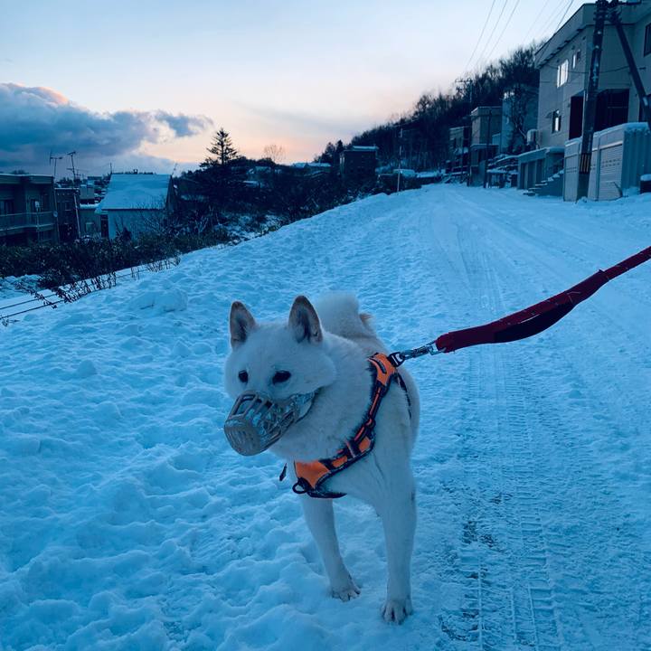 D17b0e73 cd7a 49ae a1fc 83ef7117a8bd 1670192006371