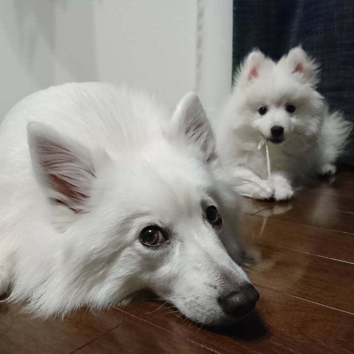 D17b1f63 319d 41a1 a571 30b1854cdf5c 1547993819343