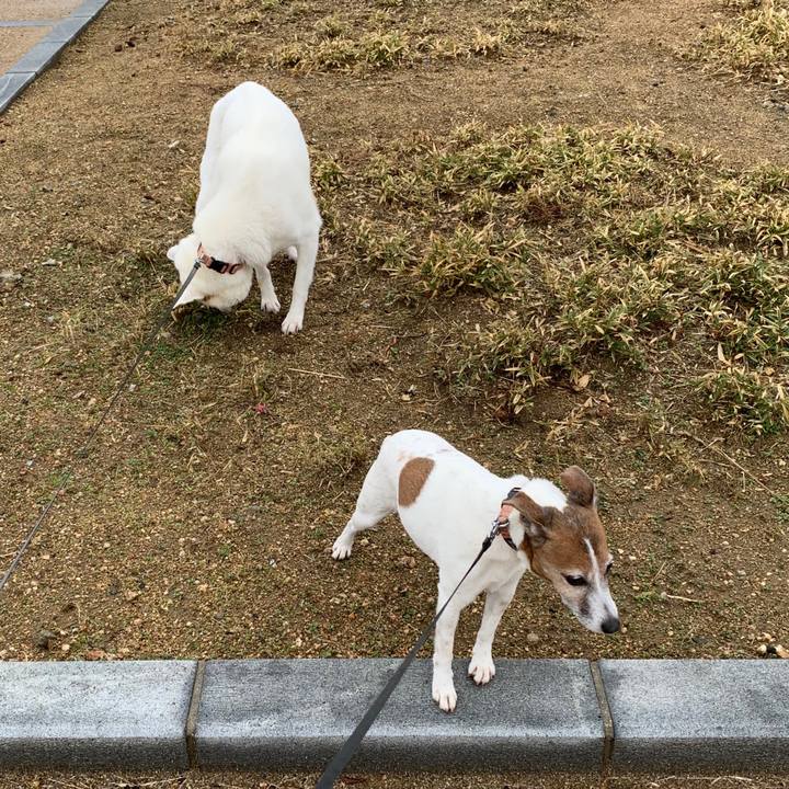 D17b5dc5 eb6a 4e36 965d 0811bc0d4d8b 1580002682677