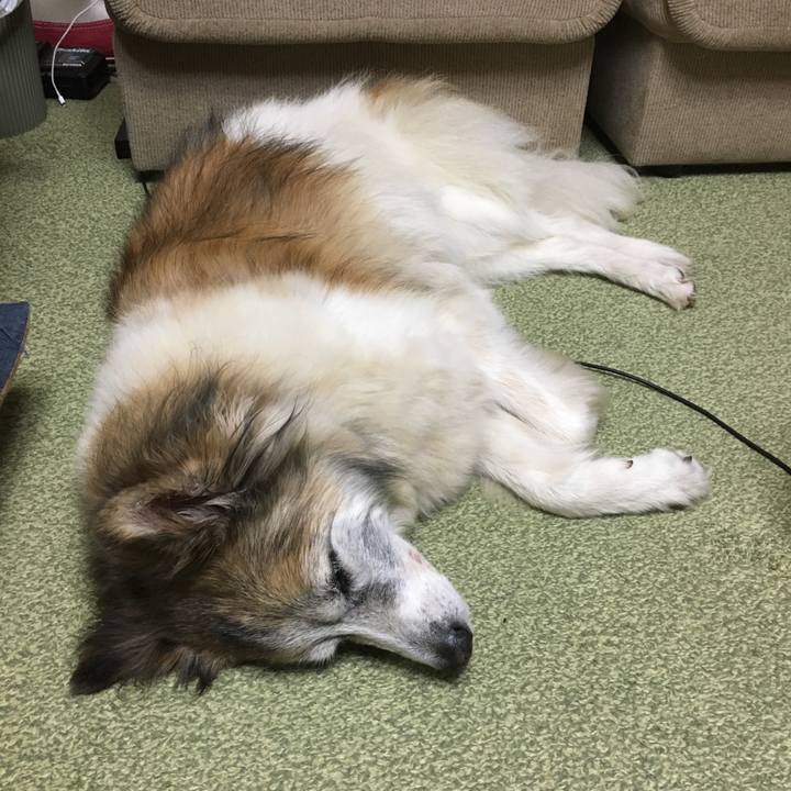 D17b8686 2e55 47b1 b6db 12267237b8f2 1508559625739