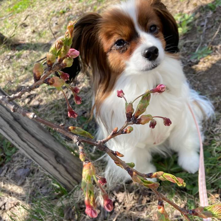 D17bd194 f5c0 4fc2 a565 3ffa823d15d5 1650518777329