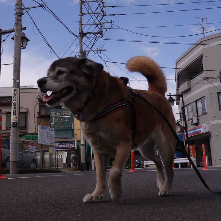 D17be436 12f7 4a2d bcc5 392c6e8184d0 1553130243934