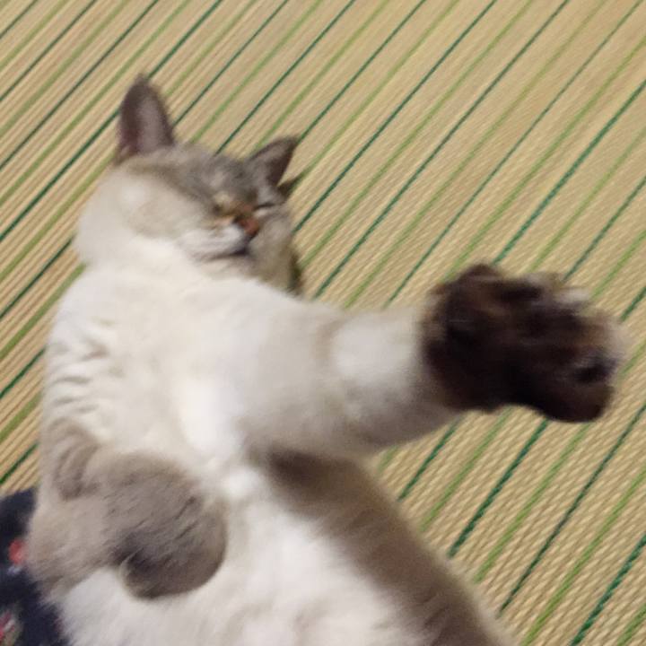 D17c38b5 cbdf 414d 9767 f9495faa3beb 1539170364768