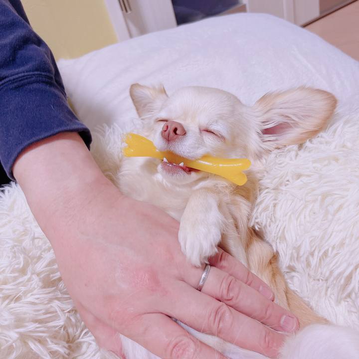 D17c395f 7957 4d25 bcaf 099bcece4223 1681300405407