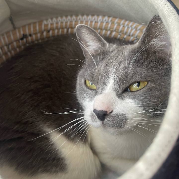 D17c4440 55dc 458d bfad 95ee7c8fa4c8 1747352682632