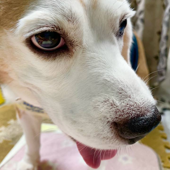 D17c5dd2 ef4b 4466 ac8c 17dc9190b0bb 1629517468308