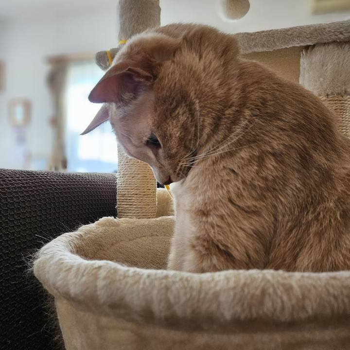 D17c677e ef13 422c af8e c9ba67d0ad38 1695443376475