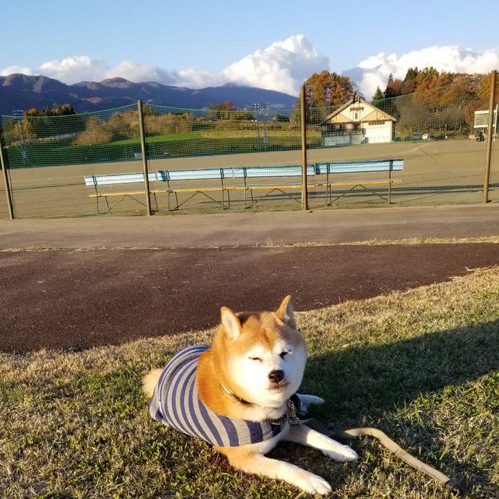 D17c878d e672 4078 816a 419f54ec8dfe 1636786315025