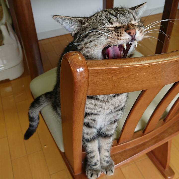 D17cb0ee 7728 42f1 a753 b3af5c6c4392 1553734967298