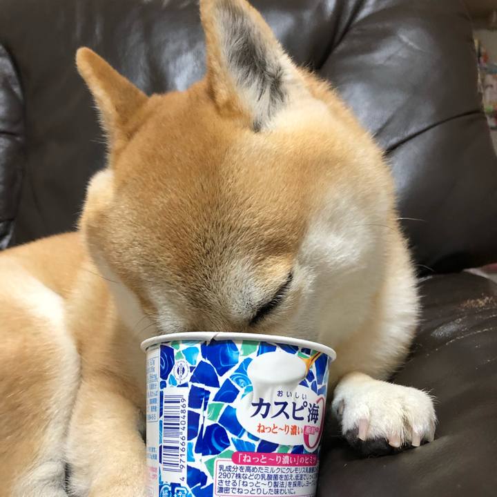 D17cb570 2868 412b b007 6a5737fab50c 1551354246639