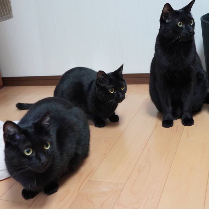 D17cc798 1724 4a01 ba09 a91d4ce0b1cb 1587207322757