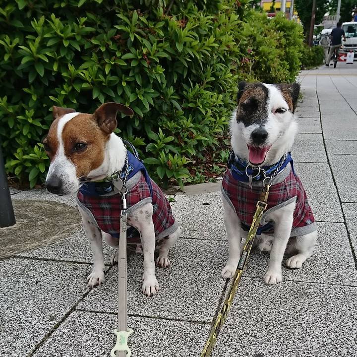 D17ce598 98dd 446c b143 bd9775d01e79 1590362092147