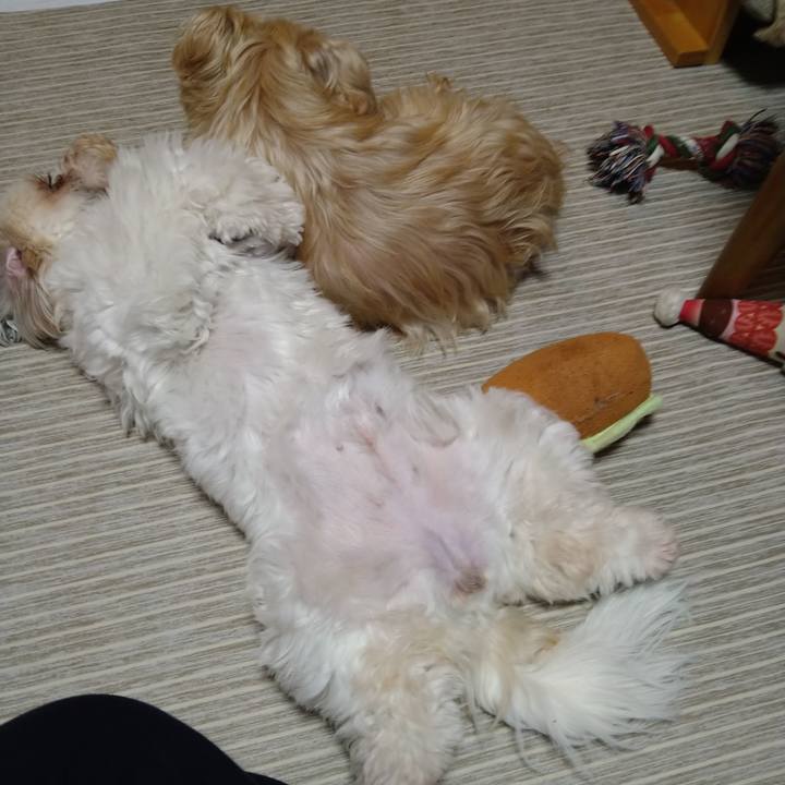 D17ce99a b0b9 4ece b895 91b51fedc702 1610062726475