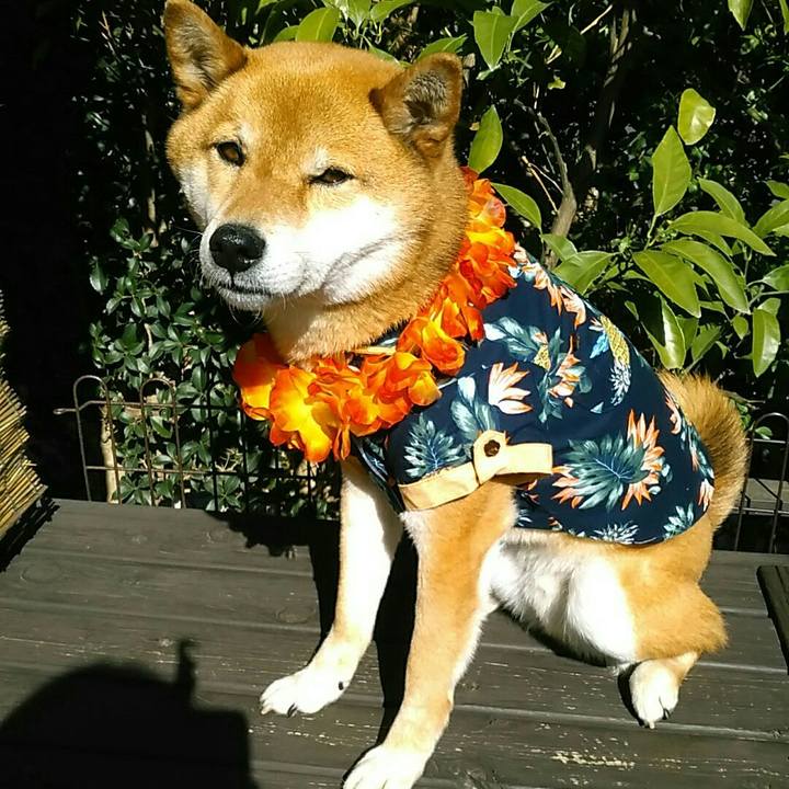 D17d102d b39c 4e68 b419 5ae527d83969 1555308356616