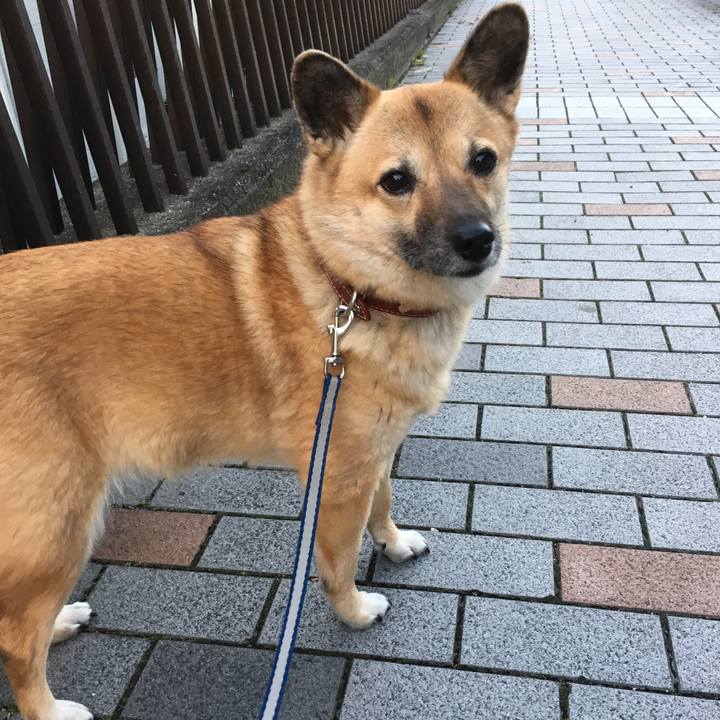 D17d73c5 a2a3 4673 8c82 b2156ef4f32d 1511432305979