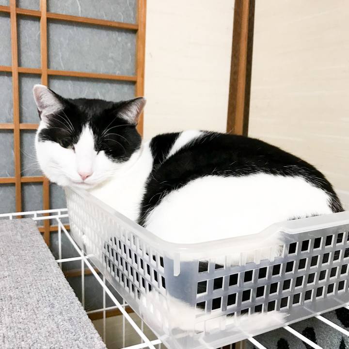 D17d82f3 fc43 4e96 b2a9 7769f1456185 1519915562398