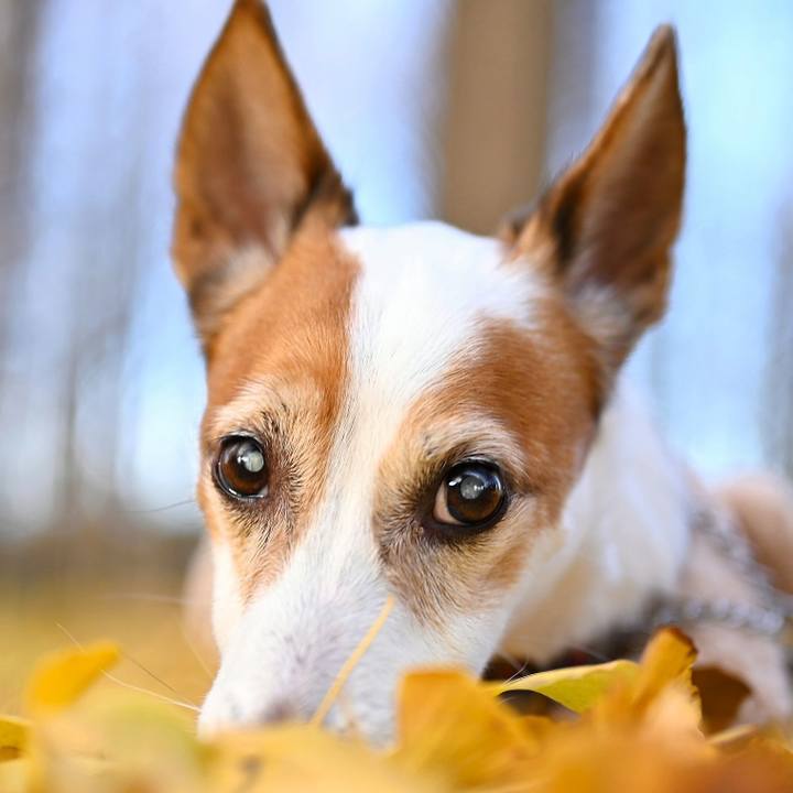 D17da207 f534 4876 9547 d7d8467b2645 1767183768803