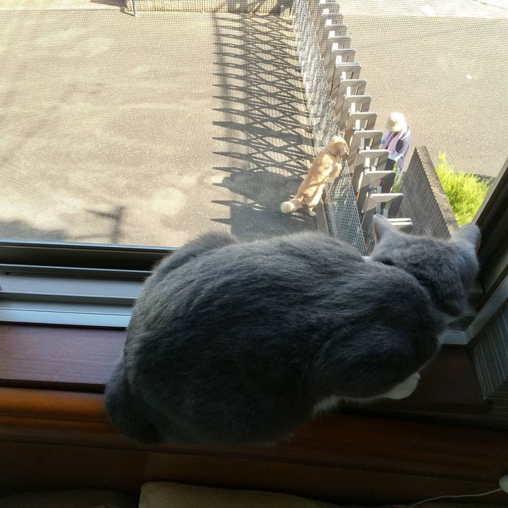 D17da2bd 2574 43ce b905 5b16e1137bea 1599782450859