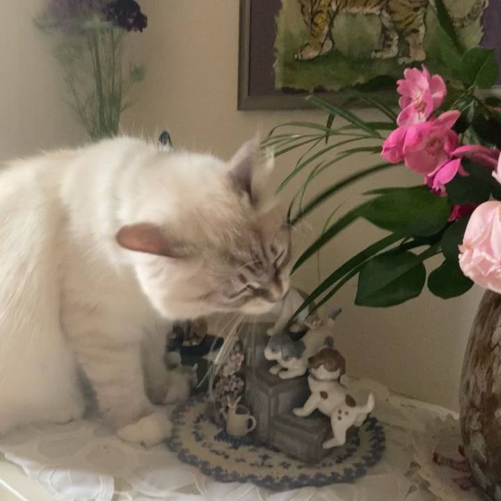 D17dbf17 afac 46b2 90e5 ea87f9cc2103 1684407142703