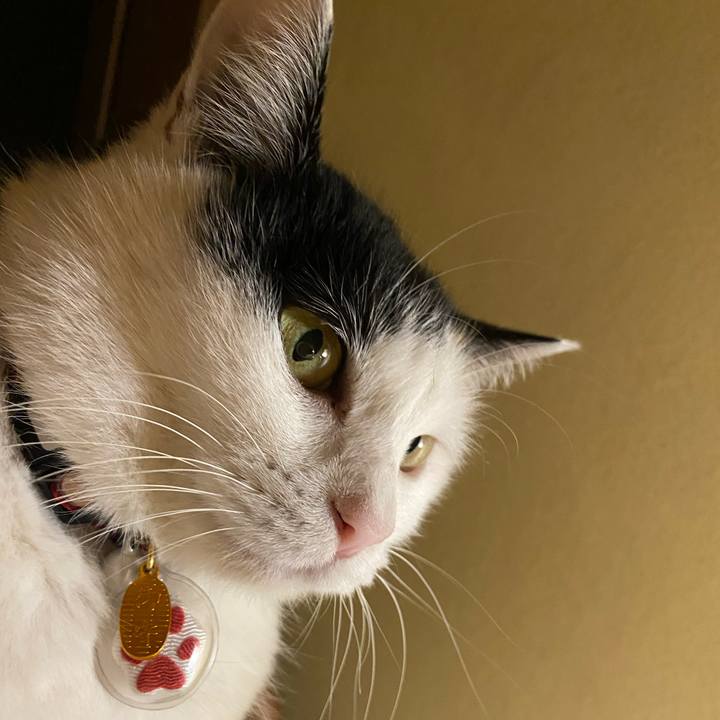 D17dc47a e063 4f04 b86b 6b99067cfcfd 1646920661378