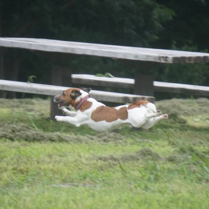 D17def6a 517f 43ff 9f48 735daad6eeb8 1562711869845