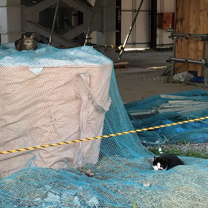 D17e1eff 519a 4358 9910 0ef9f17b4cb9 1548118953925