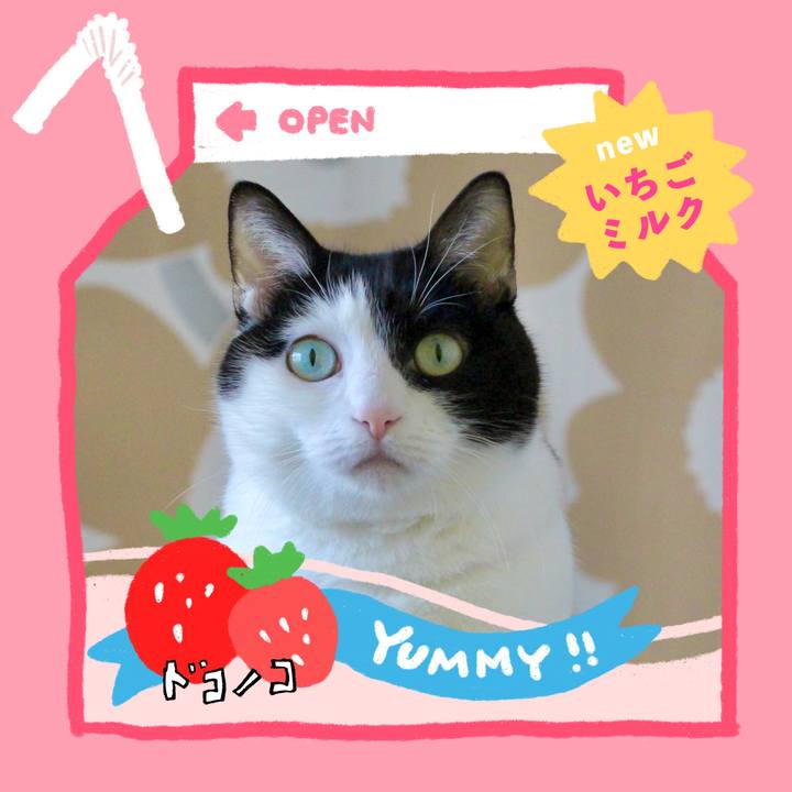 D17e42fc 7488 4dd0 a7f6 0a1cb29839ce 1711020282848