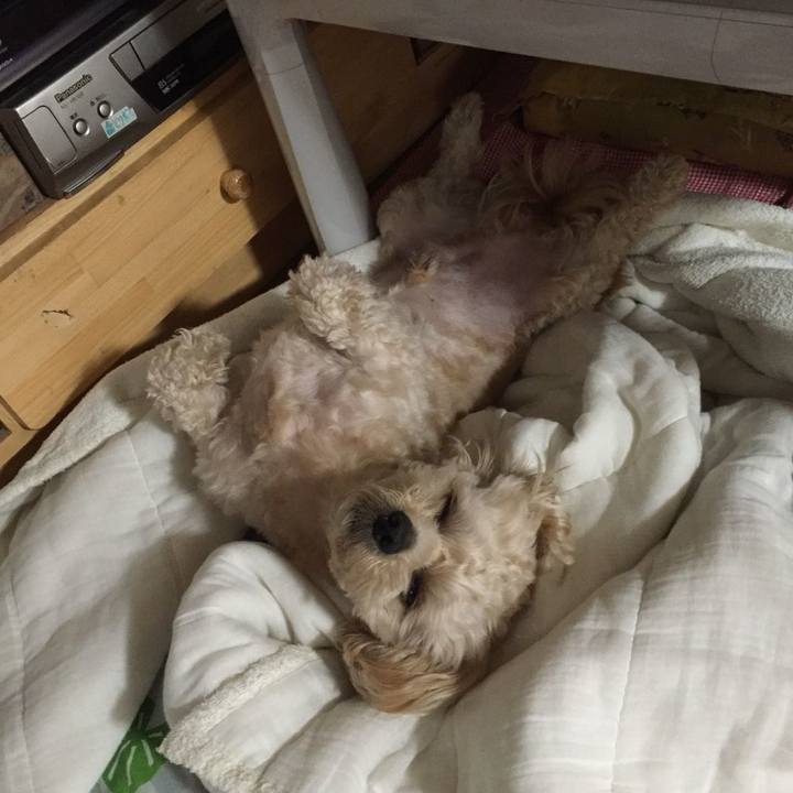 D17e485a 62be 45d8 b0a1 e67b79d13c8d 1529583668744