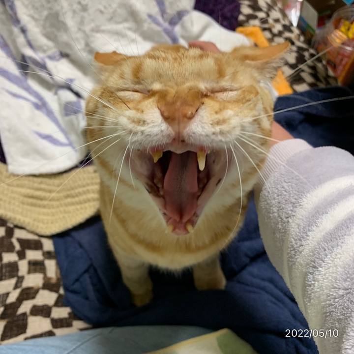 D17e59de c096 4eeb 8e85 be317444b154 1652190276620