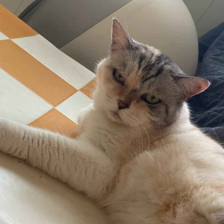 D17e66df abb2 4e88 9144 ed1846440a1c 1752822663458