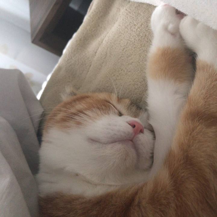 D17e8f4c a960 4171 9f7f 80b4419f61d3 1512121355879