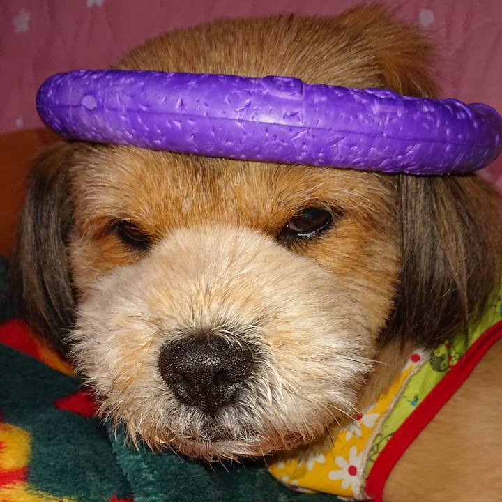 D17ea3fc 6ee7 4a0e bd19 252e79265d1a 1553782947080