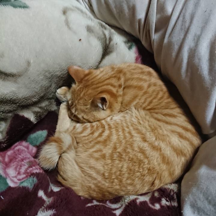 D17ea635 9920 410b b2c7 610305169cdd 1647261559899