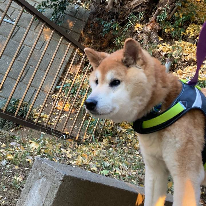 D17eaca4 786a 4a25 bc8d c3fee1149329 1610956383267