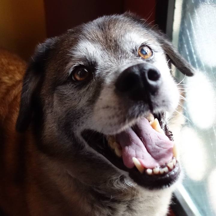 D17ed6e0 1242 474b aaa2 2f574e1efc83 1675733071539