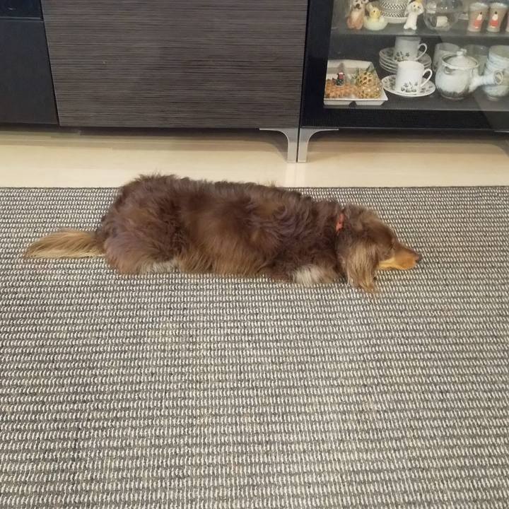 D17ee9bb 71d1 4050 988f 2be145d76eca 1584663307848