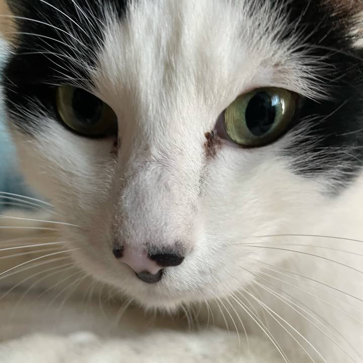 D17efdf8 f774 4eb6 9c42 7783266f9498 1645669427215